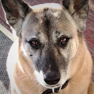 Meet your Posher, Wanda